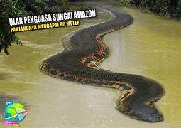 Ular Raksasa Di Sungai Amazon